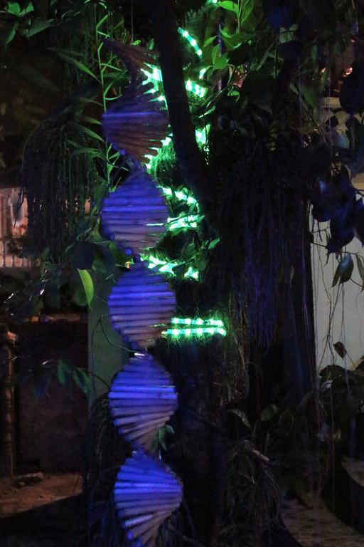 Blue Bamboo Hotel Balabag  Extérieur photo